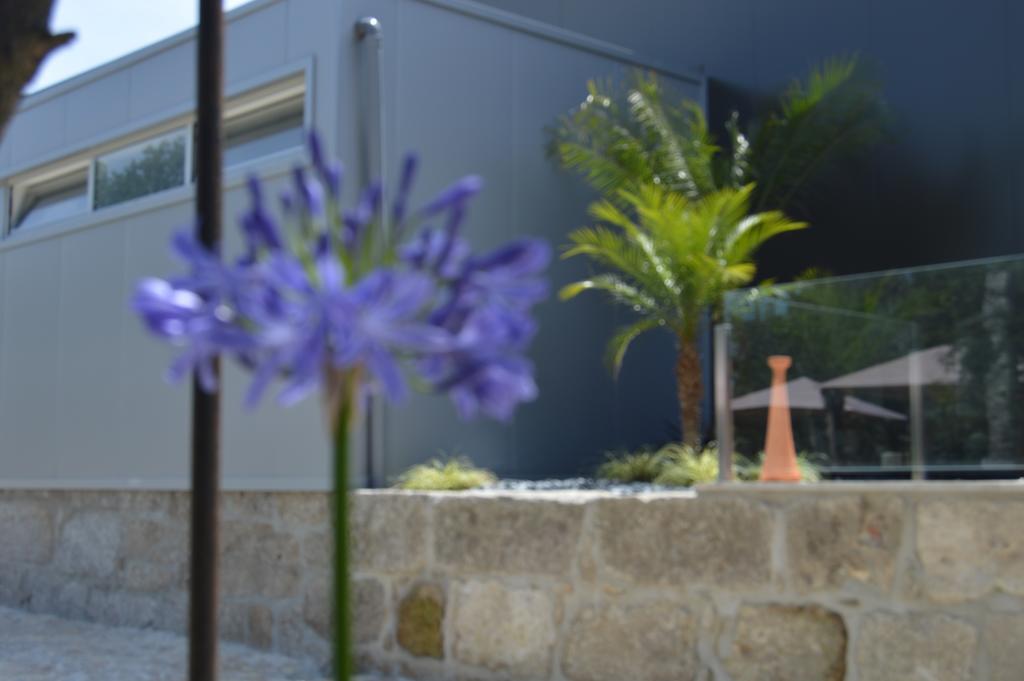 Vila Quinta Das Tulipas Barcelos Exteriér fotografie